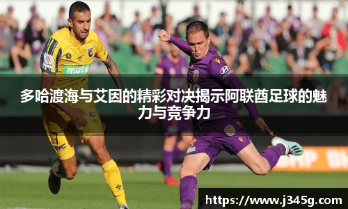 333官网