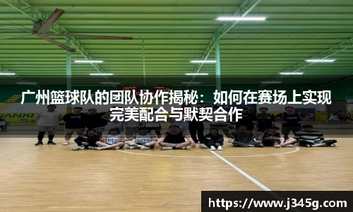 333官网